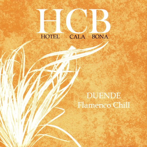 Flamenco Chill