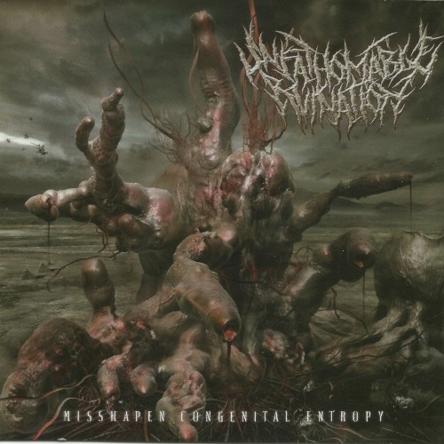 Misshapen Congenital Entropy