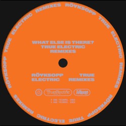 What Else Is There? (True Electric Remixes)