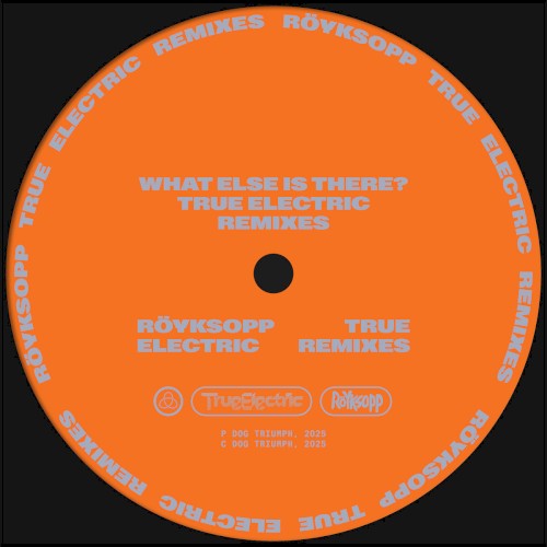 What Else Is There? (True Electric Remixes)