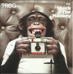 P38: Shock the Monkey