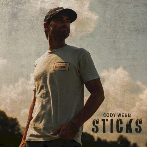 Sticks