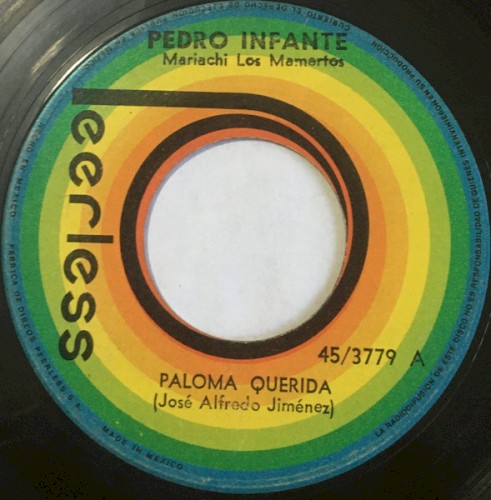 Amorcito de mi vida / Paloma querida