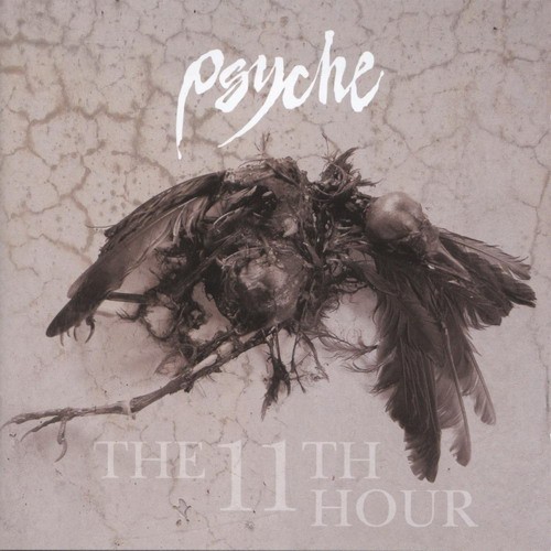 The 11th Hour