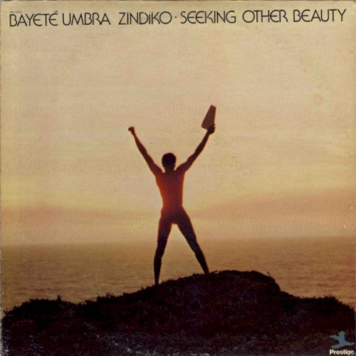 Seeking Other Beauty