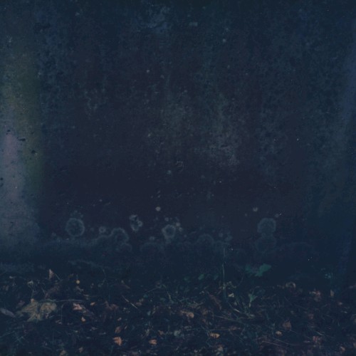 ghostly variations