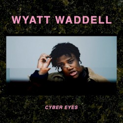 Cyber Eyes