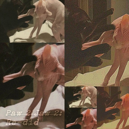 Paw 2 Jaw 2: Re-demo’d