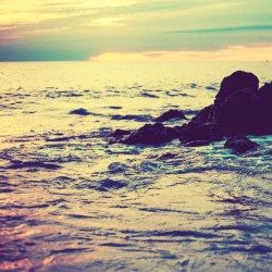 Let Go Of Your Ego