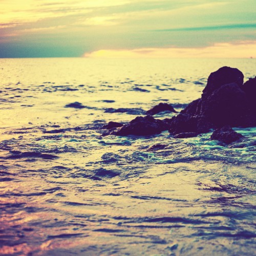 Let Go Of Your Ego