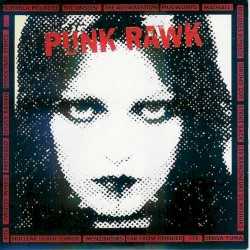 Punk Rawk, Volume 37