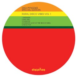 Rural Disco Vibes Vol. 1