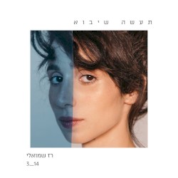 תעשה שיבוא