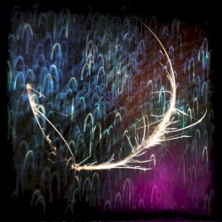 Cordyceps