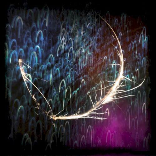 Cordyceps