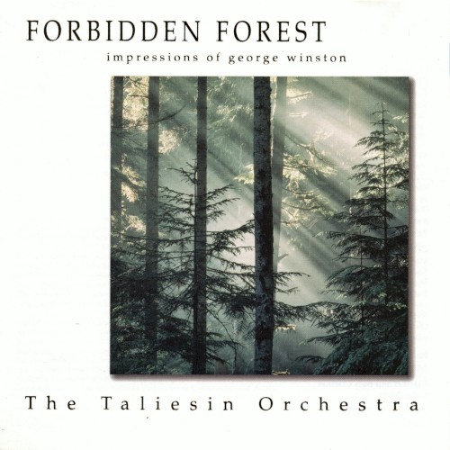 Forbidden Forest: Impressions of George Winston