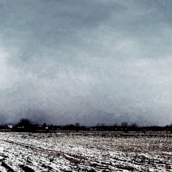 Common Wildly Rumbling Nothingness