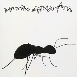 アリが踏まれる瞬間の物語