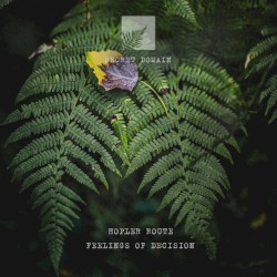 Feelings of Decision