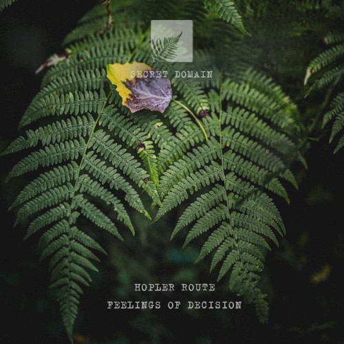 Feelings of Decision