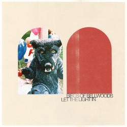 Let The Light In