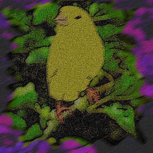 Canary