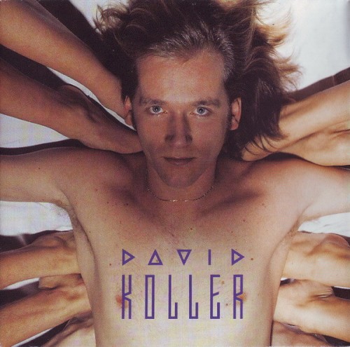 David Koller