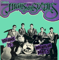 Highs in the Mid Sixties Volume 19: Michigan Part 3