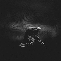 L’Atmosphère des oiseaux