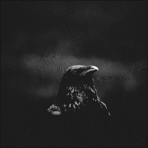 L’Atmosphère des oiseaux