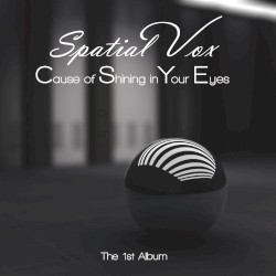 Cause of Shining in Your Eyes (The 1st album)