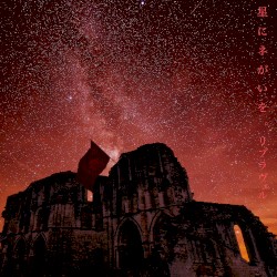星にネがいを。
