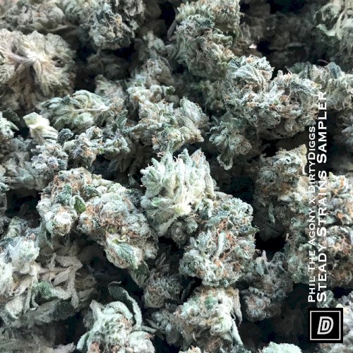 Steady Strains Sampler (Deluxe Edition)