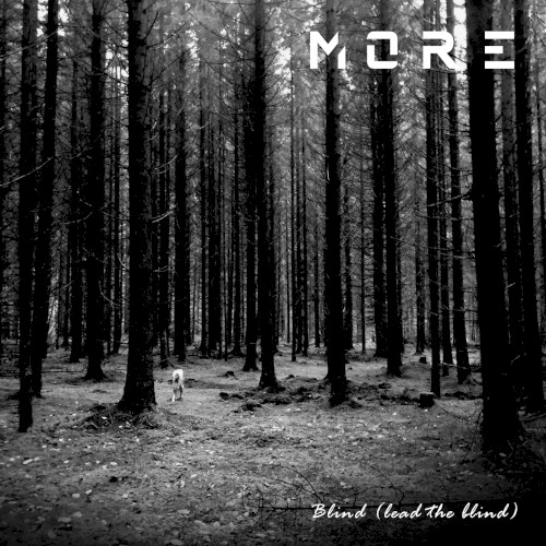 Blind (lead the blind)