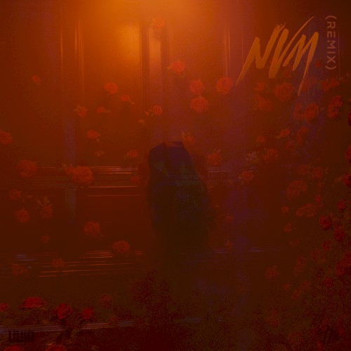 NVM (Remix)