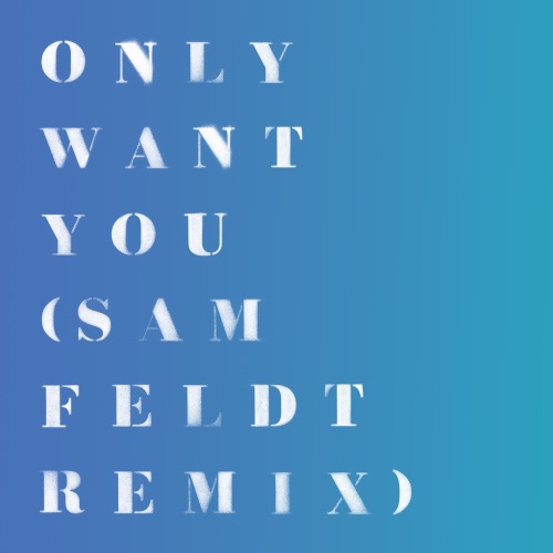 Only Want You (Sam Feldt remix)