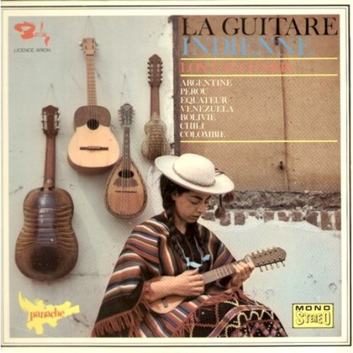 La Guitare Indienne