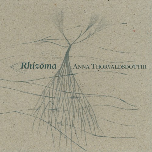 Rhízōma