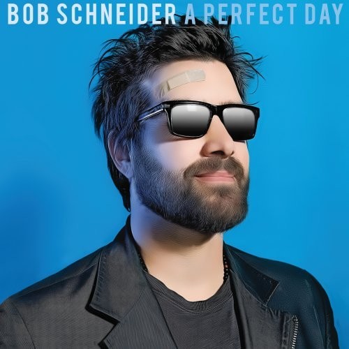 A Perfect Day