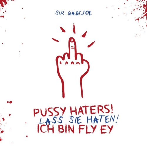 Pussy Haters, lass sie haten (ich bin fly ey)