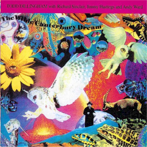 Wilde Canterbury Dream