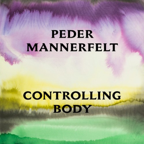 Controlling Body