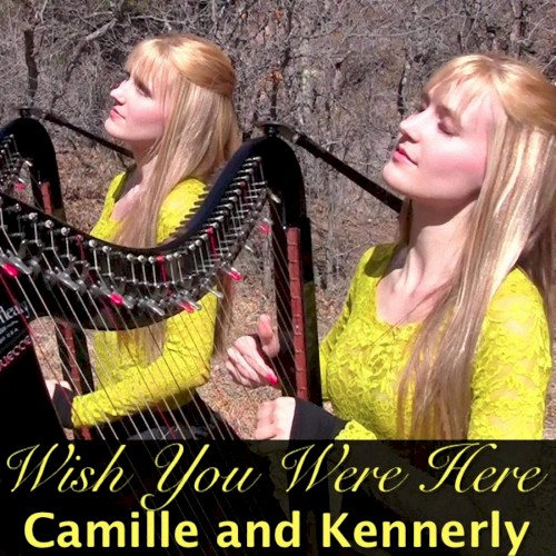 Wish You Were Here