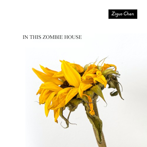 In This Zombie House