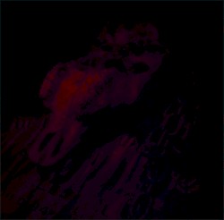 [untitled]