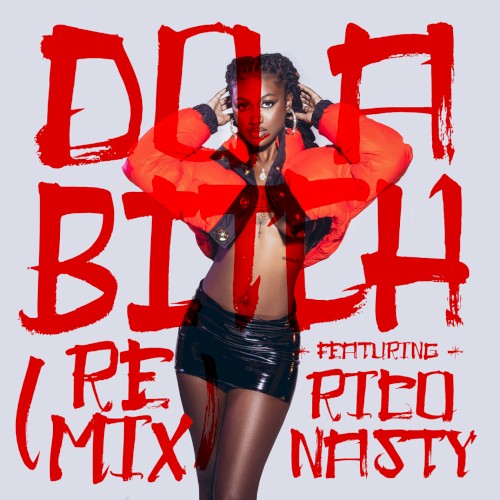 Do A Bitch (remix)