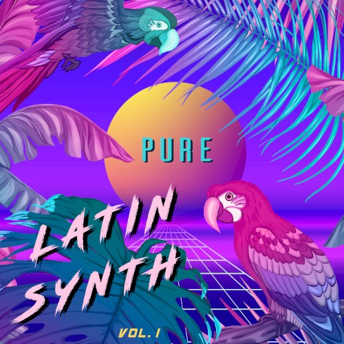 Pure Latin Synth, Vol. 1