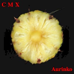 Aurinko