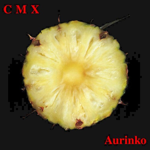 Aurinko