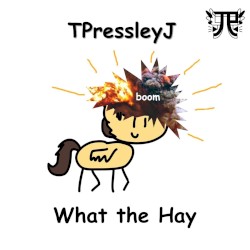 What the Hay